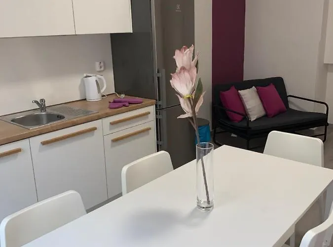 Only Ladies Hostel - Female Only